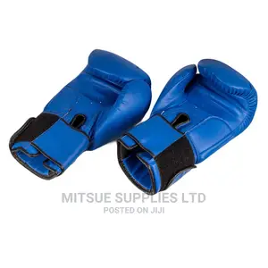 A Pair of Professional Boxing Gloves 14 Oz