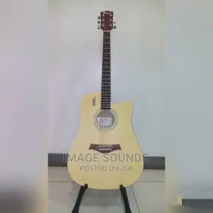 Acoustic Guitar