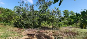 1 Acre Land Mtwapa Few Minutes Walk to the Creek Beach