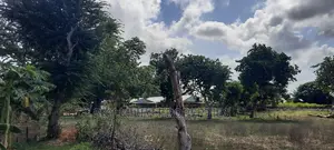 Residential Plots on Sale Mtwapa