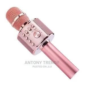 Portable Mic Speaker Home, Party Singing