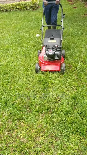 Lawn Mower Mc 4hp