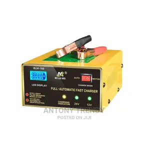 12v/24v Intelligent Automatic Battery Charger