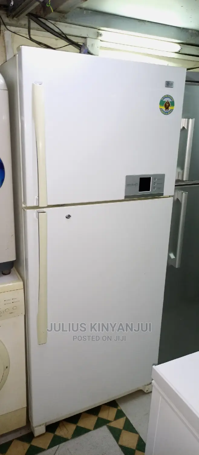 Double Door Fridge LG