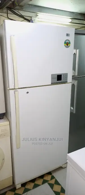 Double Door Fridge LG