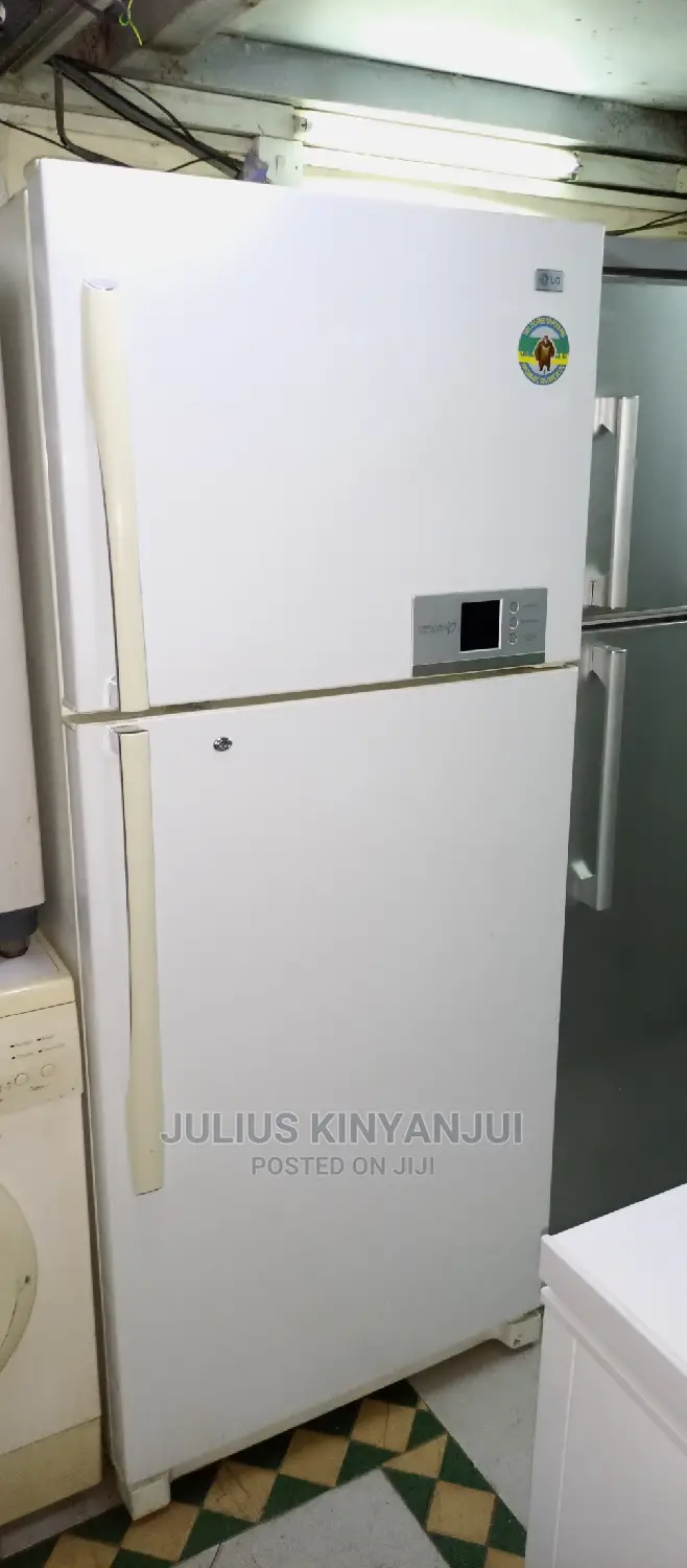 Double Door Fridge LG
