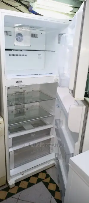 Double Door Fridge LG