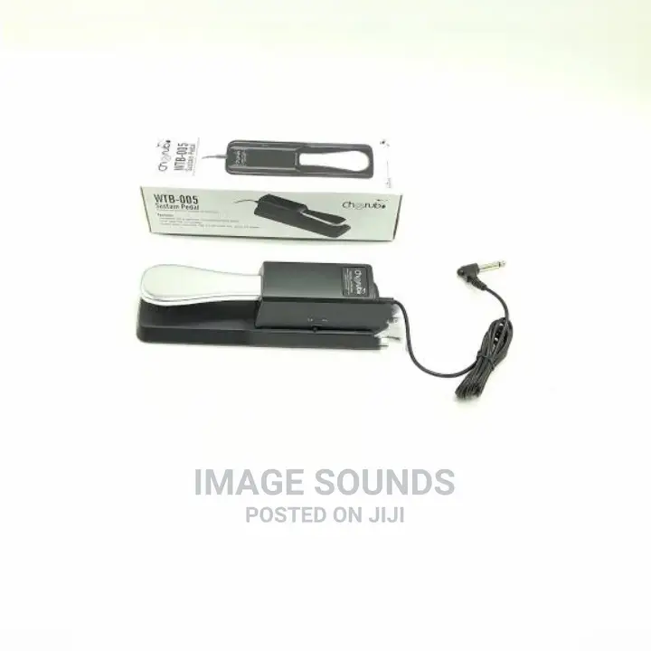 Keyboard Sustain Pedal