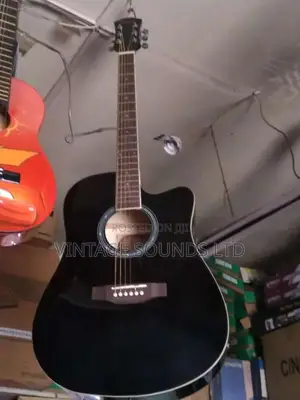 Semi Acoustic Guitar USA
