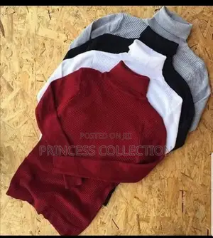 Men Pullneck Sweaters