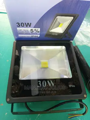 30 Watts Flood Light