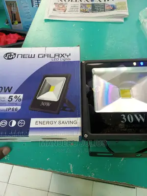 30 Watts Flood Light