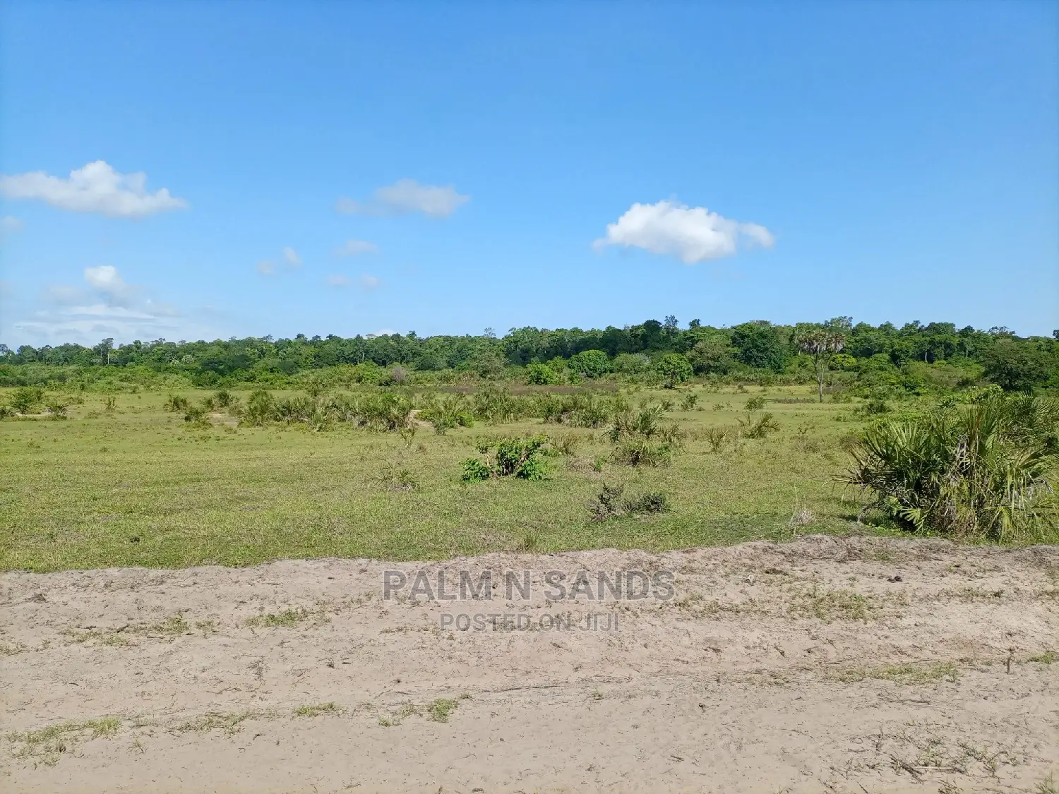 Twenty Five Acres of Agricultural Land