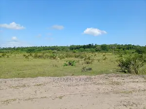 Twenty Five Acres of Agricultural Land