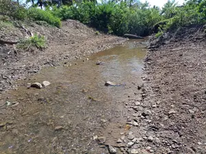 Twenty Five Acres of Agricultural Land