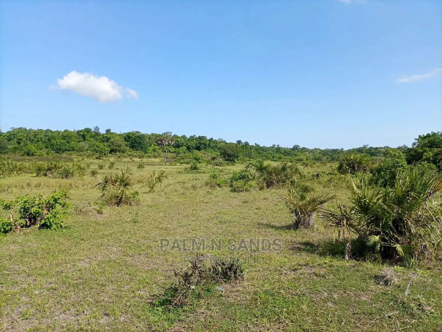 Twenty Five Acres of Agricultural Land
