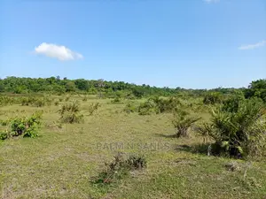 Twenty Five Acres of Agricultural Land