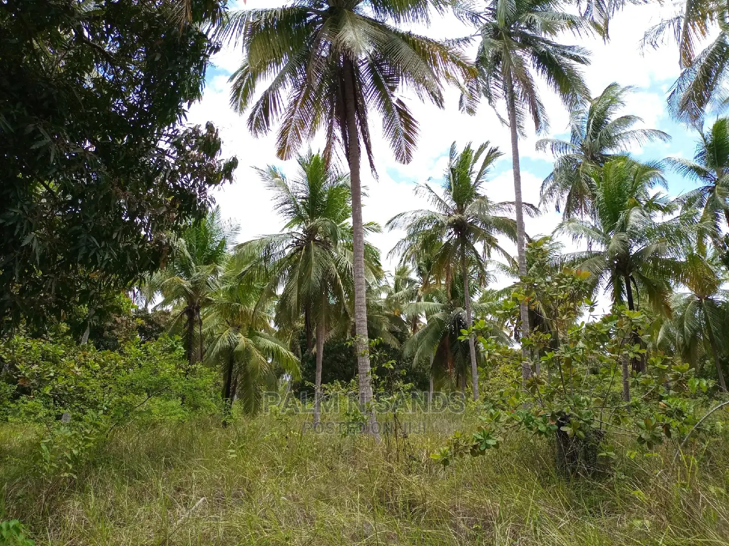 Twenty Five Acres of Agricultural Land