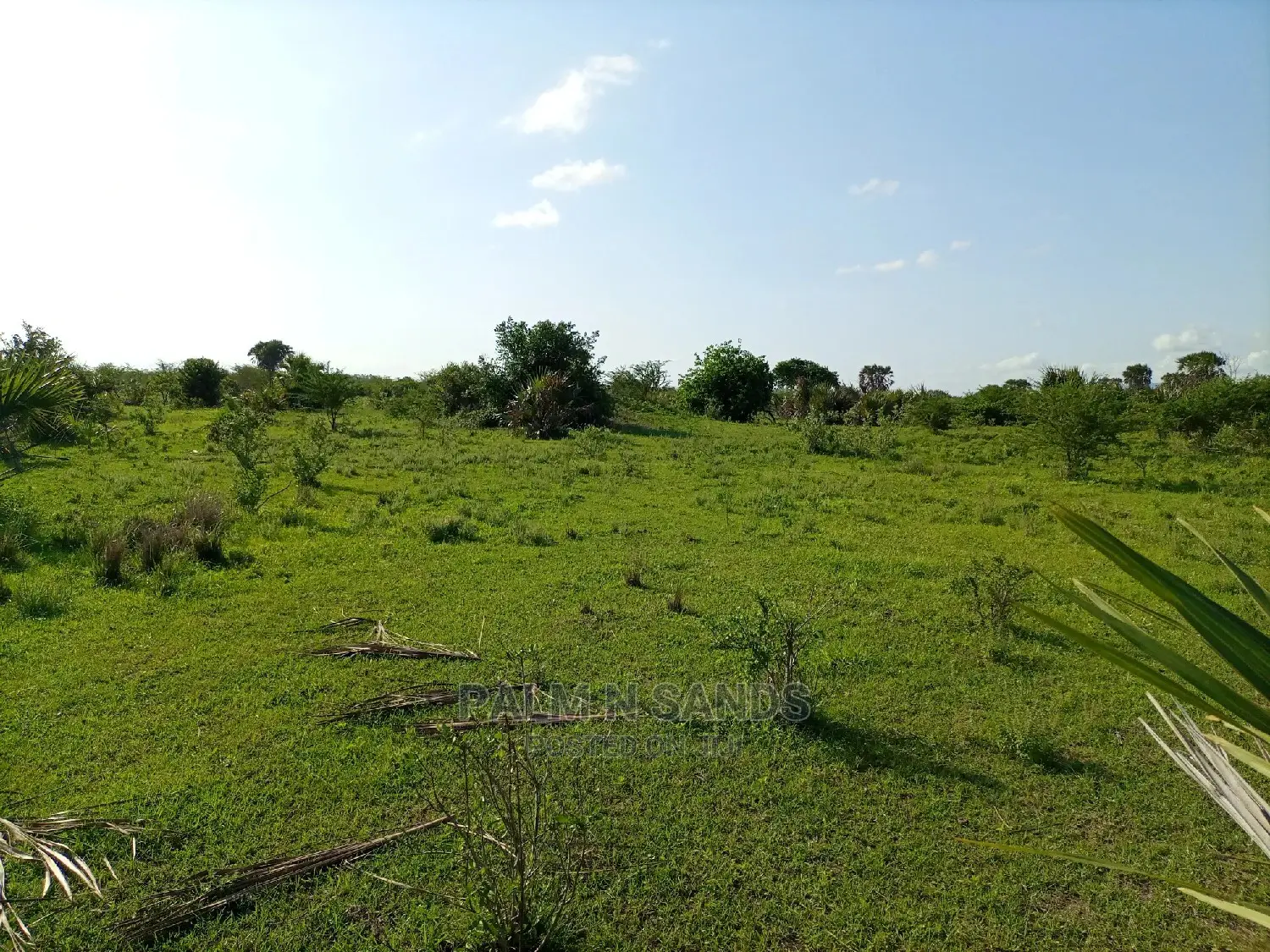 Twenty Five Acres of Agricultural Land