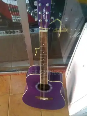 Semi Acoustic Guitar USA