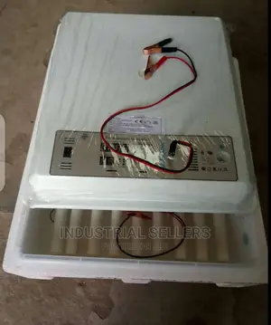 Pocket Friendly 56 Egg Incubator Machine