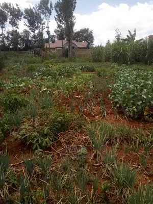 Prime Land on Sale in Karatina