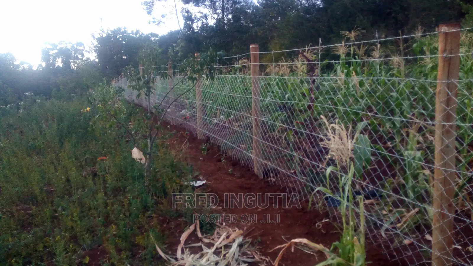 Chain Link Fencing Services