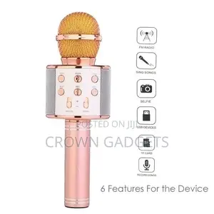 WS-858 Wireless Karaoke Microphone