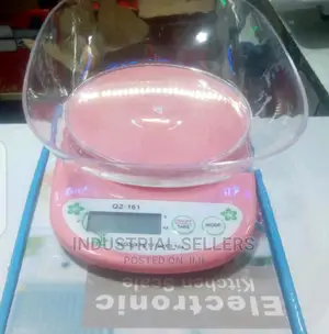 Kitchen Electronic Scale
