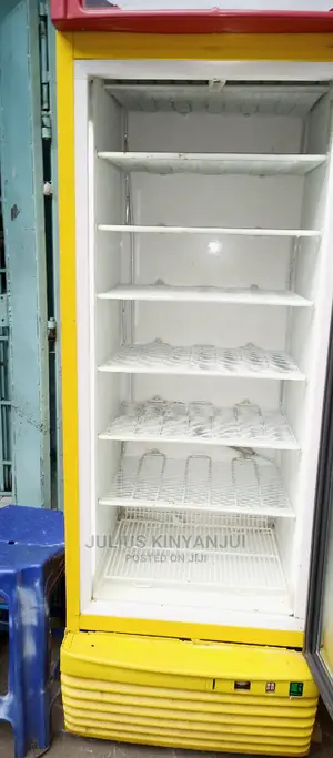 Upright Freezer Display