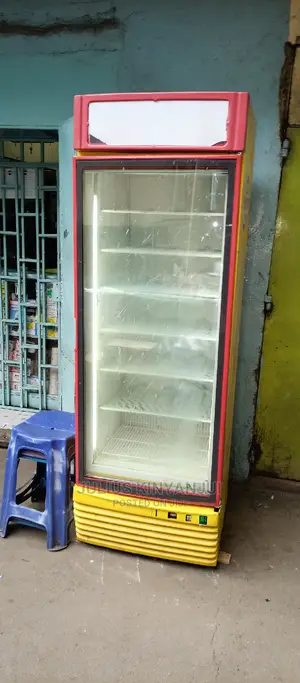 Upright Freezer Display