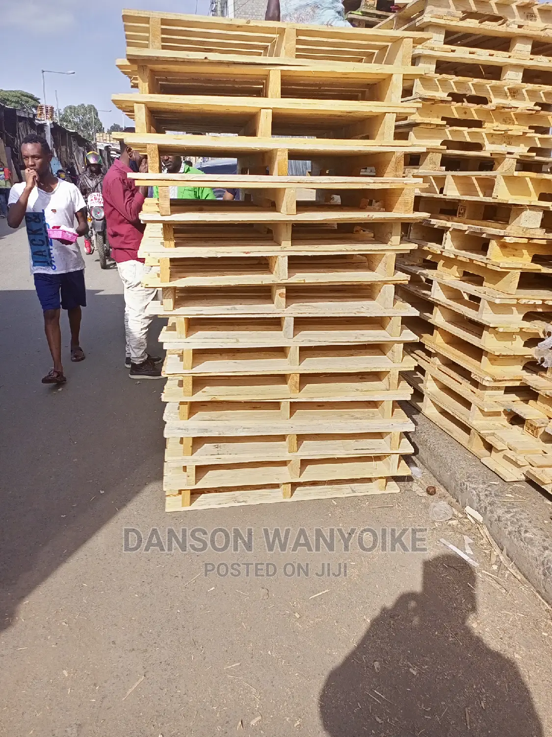 Pullets for Sale