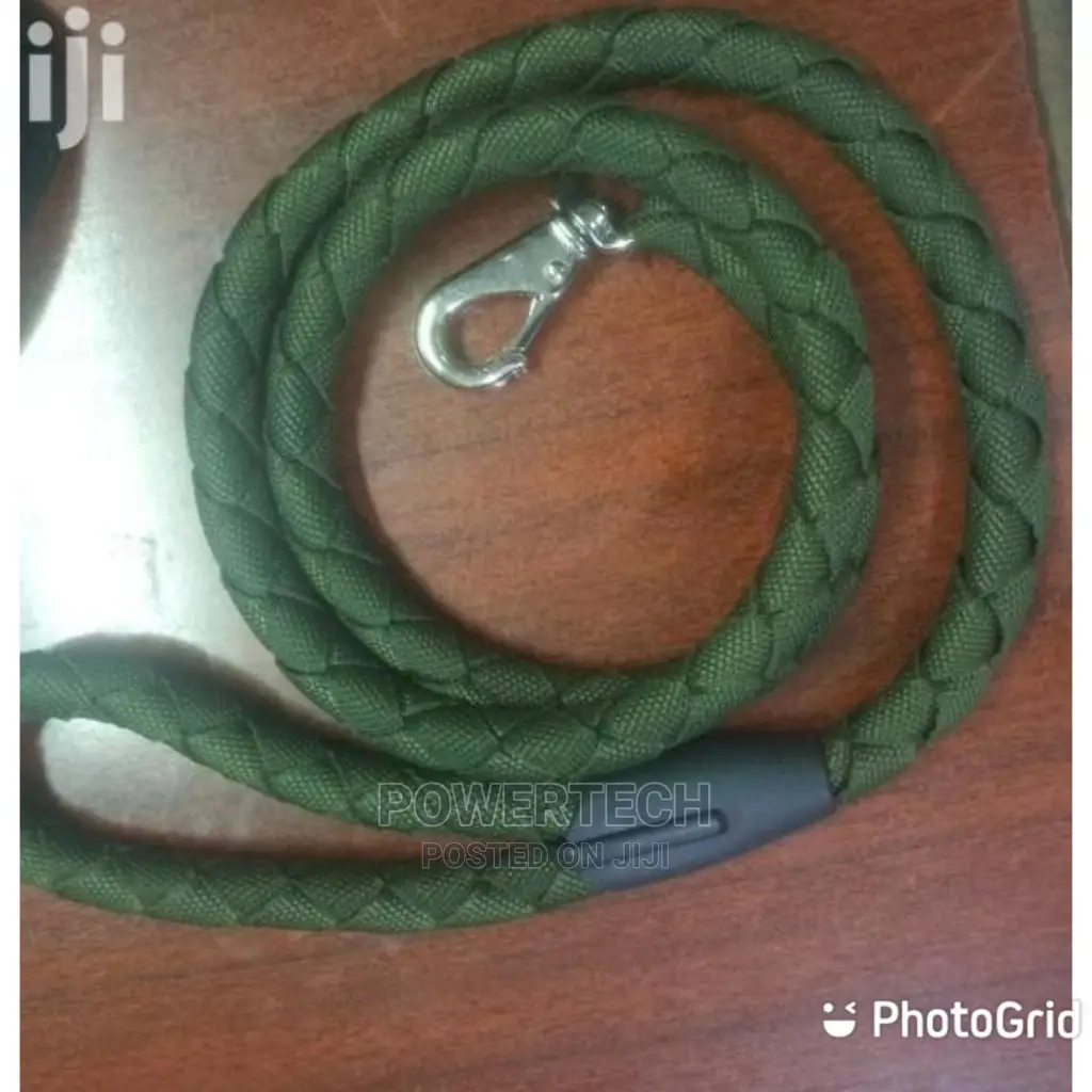 Dog Leash-Green