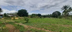 1 Acre Land on Sale,Bomani