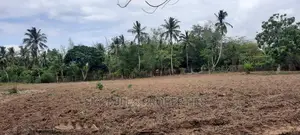Bomani 6 Acres on Sale