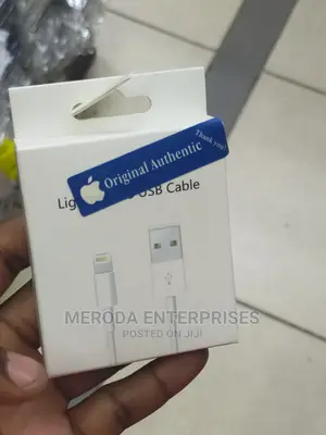 iPhone Data Cable