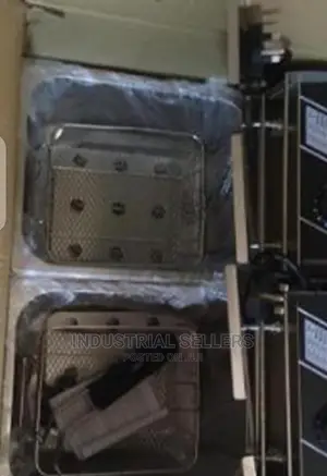 Fast Cooking Double Deep Fryer