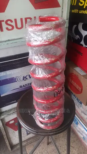 Coil Spring Robs Magic