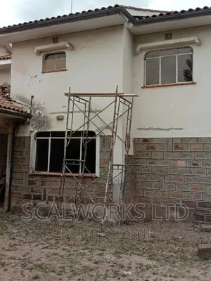 Scaffolds or Construction Ladders for Hire