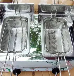 Electric Double Deep Fryer