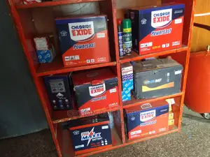 Special Offer Chloride Exide Batteries on Sale