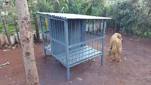 Assorted Dog Cages