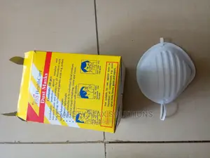 Disposable Dust Mask