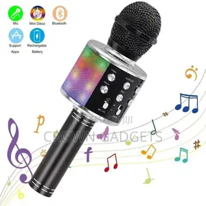 Wireless Karaoke Mic for Ceremonies