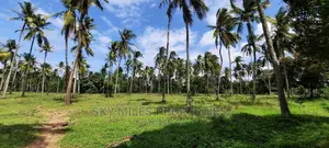 Mtwapa Danka,A Commercial Prime 46 Acres Land on Sale.