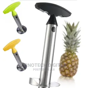 Pineapple Corer/ Slicer