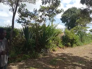 1 Acre Karatina