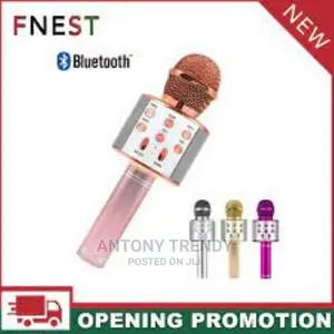 Portable Hand-Held Wireless Karaoke Microphone