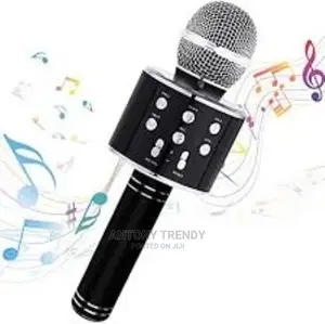 Sing Along, Ride Along -Karaoke Wireless Microphone Bluetoot