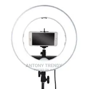 RL-12 Inch LED Ring Light With Mirror, Phone Holder, Rem